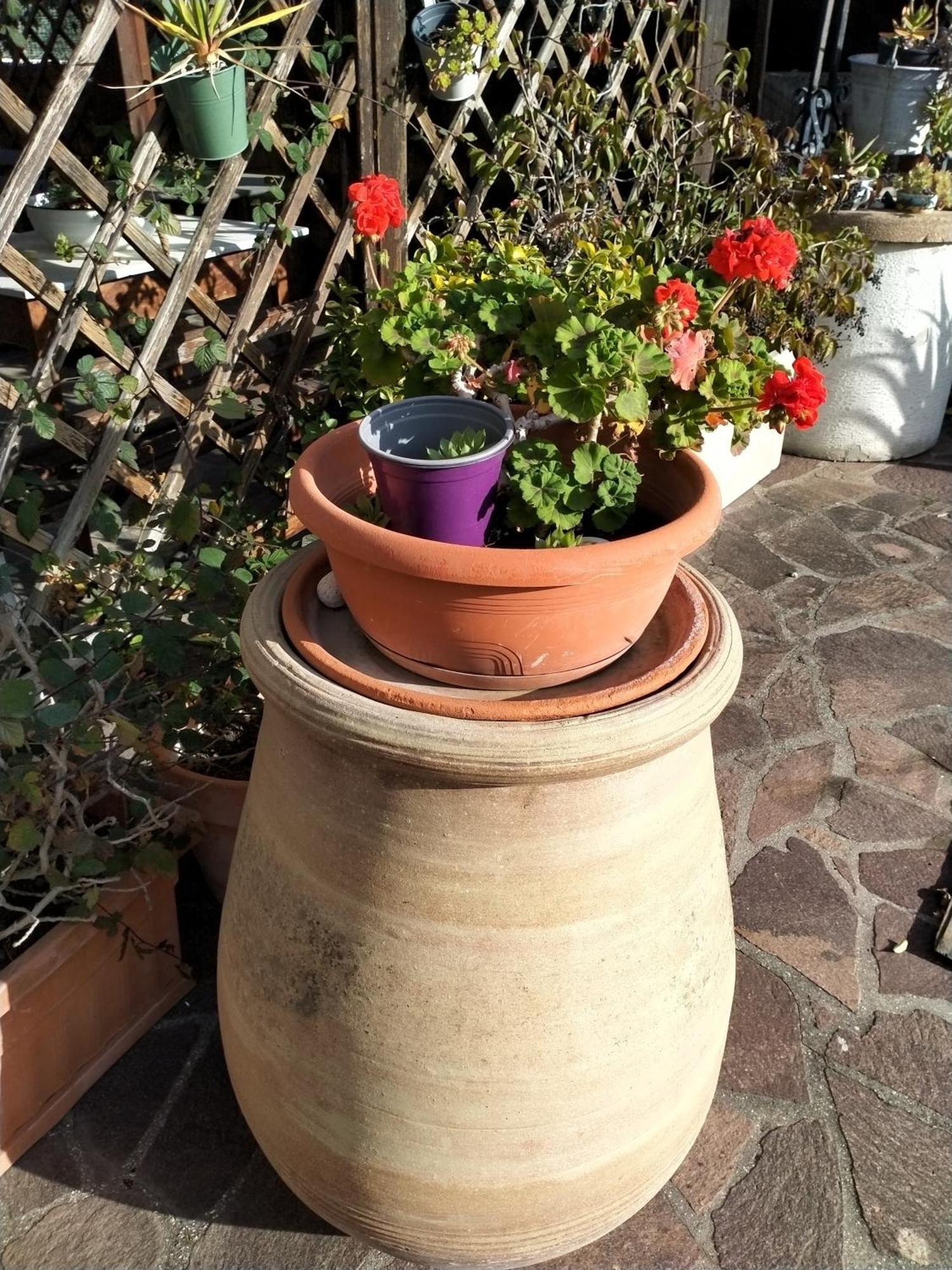 B&B A Casa Di Mael San Costanzo エクステリア 写真