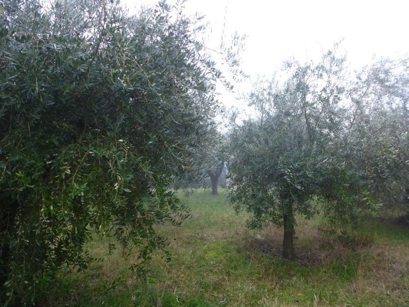 B&B A Casa Di Mael San Costanzo エクステリア 写真